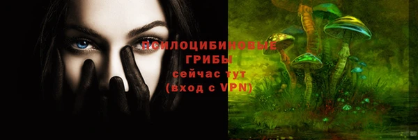 скорость mdpv Переславль-Залесский